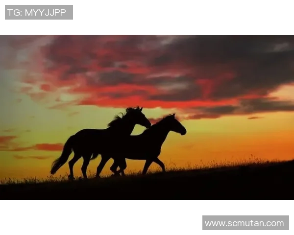 一步一个脚印，迈向成功的坚实底盘