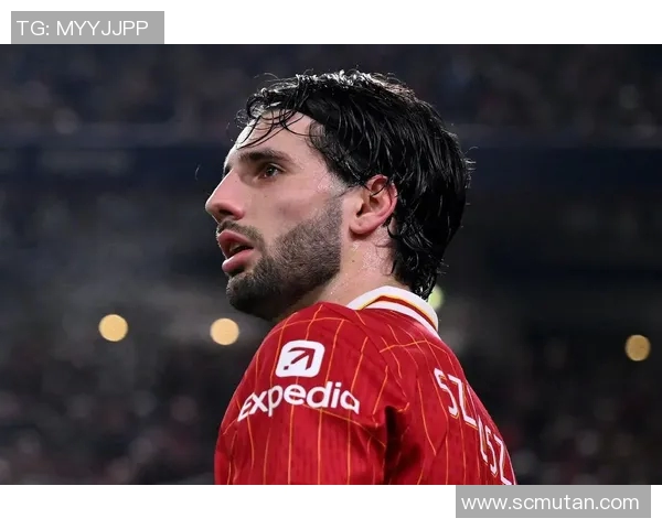 索博斯洛伊10月再创佳绩，双料获奖震撼行业！