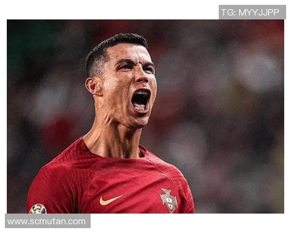 2019欧洲杯:C罗的荣耀征途,荷兰与葡萄牙的史诗对决 2019欧洲杯:C罗的荣耀征途,荷兰与葡萄牙的史诗对决